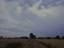 Een regenbui trekt over Brabant. (Foto: Ben Saanen, Budel)