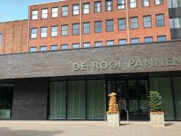De Rooi Pannen in Eindhoven (Foto: Rogier van Son)