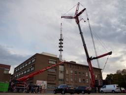 Het is een flinke klus om de gigantische mast te verwijderen (foto: Niels Penninkhof)