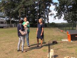 De open dag bij Stichting Dier en Project.