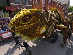 De winnaar van Bloemencorso Zundert vorig jaar. (Archieffoto)