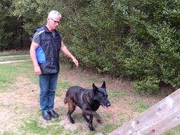 Peter van Oorschot tijdens een training met zijn hond Shadow.