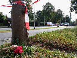 Bloemen vlakbij de plek van het dodelijke ongeluk. (Foto: Danny van Schijndel)