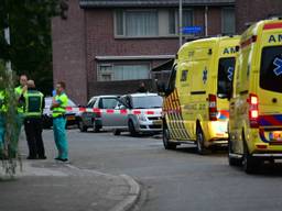 Foto: Dave Hendriks