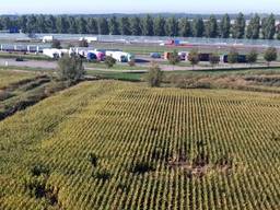 Vanuit de lucht is de schade aan het terrein naast de parkeerplaats goed te zien (Foto: Twan van der Heijden/Heijdens Karwei).