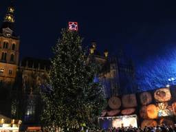 Joris' Kerstboom in al zijn glorie. (Foto: Henk van Esch Fotografie)