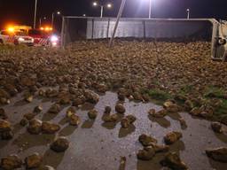 De suikerbieten waren bijna op hun eindbestemming: de Suikerunie (Foto: Christian Traets/SQ Vision Mediaprodukties)