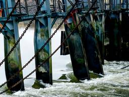 Medewerkers van Rijkswaterstaat bouwen een tijdelijke dam bij de beschadigde stuw van Grave. (Foto: ANP).