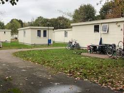 Chalets op vakantiepark Droomgaard. (Foto: Omroep Brabant)