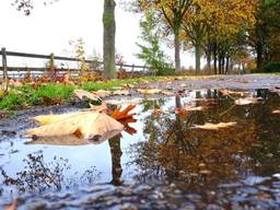 Foto: Jolanda Pelkmans
