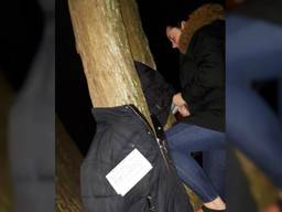 Winterjassen worden aan boom geritst voor daklozen