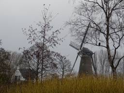 Een druilerige ochtend in Nuenen. (Foto: Willem van Nunen)