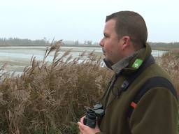 Kreken en beken in de Biesbosch staan droog zegt Thomas van der Es