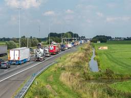https://api.omroepbrabant.nl/img/f/$width$/$height$/0.5/0.5/bWVkaWEvcHJvZC8yOTA1NzA3LmpwZz9zdj0yMDE5LTA3LTA3JnN0PTIwMjAtMDUtMDFUMTYlM0E1NiUzQTAzWiZzZT0yMDQwLTA1LTAxVDE2JTNBNTYlM0EwM1omc3I9YiZzcD1yJnNpZz1BckNDVlExNXBWcmFDdzFMQlAlMkZBa2J5ZyUyQlpEMGlpOHNtbSUyRm52amcxdjdFJTNE