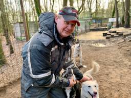 Marc uit Heeze heeft maar liefst 34 husky's