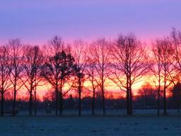 De zonsopkomst in Oirschot (Foto: Peter van der Schoot)