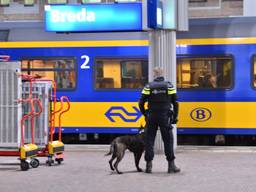 De politie werd gewaarschuwd door een passagier die in de trein zat (Foto: Perry Roovers)