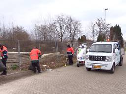 Omroep Brabant en Vebego waren druk bezig met het opruimen van het afval.
