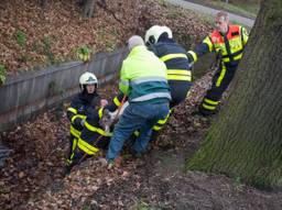 De ree lijkt niet gewond te zijn geraakt (Foto: Alexander Vingerhoeds/ Obscura Foto)