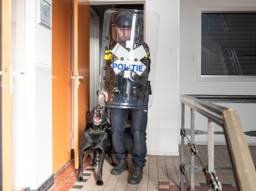 Hondengeleider Rob met zijn hond Luna in actie (foto: Kevin Cordewener).