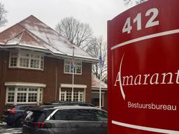 Amarant in Tilburg (foto: Jan Peels).