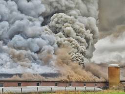 Grote stalbrand in Biezenmortel (Foto: Toby de Kort)