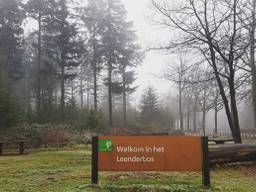 Het Leenderbos krijgt een nieuwe look. (Foto: Erik Schram, Staatsbosbeheer)