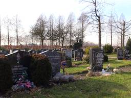 De begraafplaats in Roosendaal (Foto: Raymond Merkx)