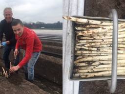 Jan, zijn zoon en de asperges (foto: Carmen Berkers)