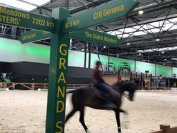 Paardensport in de Brabanthallen.
