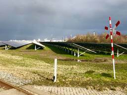 Het zonnepark met 76.000 panelen op het terrein van Shell Moerdijk. (foto: Raoul Cartens)