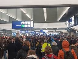 Drukte op het station van Eindhoven. (Foto: Marlou van den Broek)