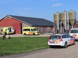 Man maakt val in boerderij Het Hakkevelt (foto: Jurgen Versteeg/FPMB).