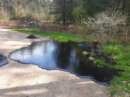 Foto: Staatsbosbeheer