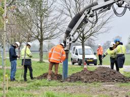 Onderzoek in Udenhout (foto: Toby de Kort)