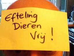 De Vegan Strike Group vroeg mensen een foto te maken met een papiertje met daarop de tekst 'Efteling Dieren Vrij'.