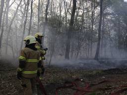 Brand in de bossen van Sambeek. (Foto: SK Media)