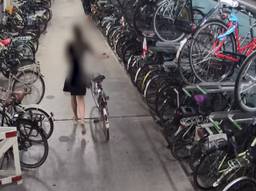 De tweede jonge vrouw die is lastiggevallen. (foto: opsporing verzocht).