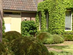 Het huis in Eersel waar de healingsessies plaatsvonden (Foto: Omroep Brabant).