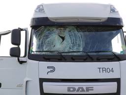 De voorruit van de vrachtwagen verbrijzelde door de klap. (Foto: Erik Haverhals/FPMB)