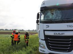 De gans ging dwars door de voorruit. (Foto: Erik Haverhals/FPMB)