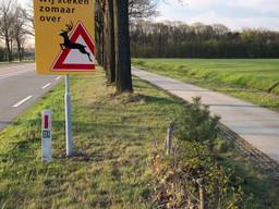 De provincie zet zoals hier in Elsendorp nieuwe borden om te waarschuwen voor overstekend wild om het aantal van 1000 aanrijdingen per jaar te verminderen