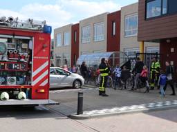 Foto: Jurgen Versteeg/FPMB