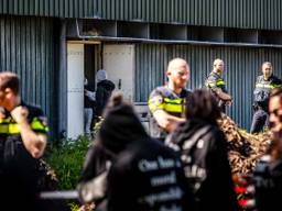 De varkensstal werd bezet door dierenactivisten (foto: Rob Engelaar).