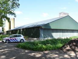 De varkenshouderij van de familie Van Sleuwen in Boxtel. (Foto: GinoPress B.V).