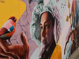 Giga graffiti langs spoor laat geschiedenis van Deurne zien