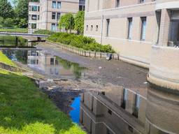 De drooggevallen gracht in Helmond. (Foto: Pim Verkoelen/SQ Vision)