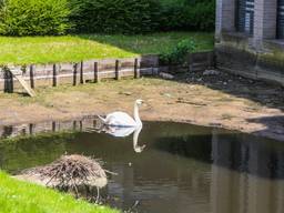 De gracht stroomde door een oude put bijna helemaal leeg. (Foto: Pim Verkoelen/SQ Vision)