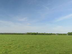 Brabant verandert in een 'groene woestijn'.