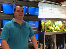 Eduard tussen de aquariums in zijn winkel